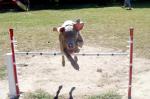 Agility Grace