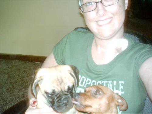 My cannine Boyz ...Buddy and Chester(buddy has a new home)