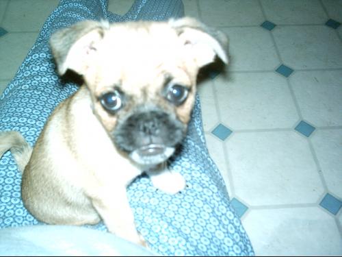 My new boy-Stewart