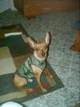 Chester