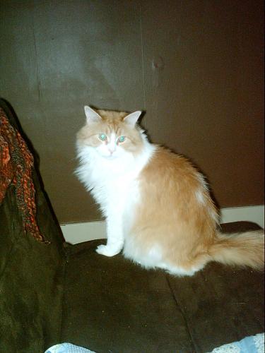 Oliver