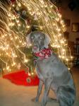 Christmas Grace 2007