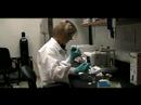 Shedding Light on Breast Cancer